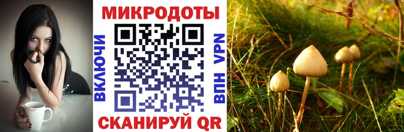Галлюциногенные грибы MAGIC MUSHROOMS  Ершов 